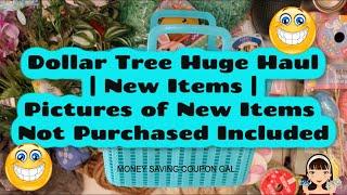 Dollar Tree Huge Haul | New Items | Pictures of New Items Not Purchased Included