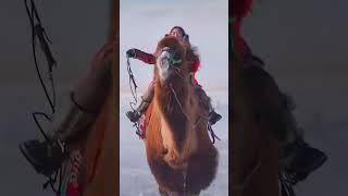 Woman Riding a Bactrian Camel in Inner Mongolia  #shorts #camels