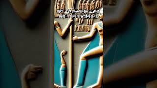 고관절 통증 정의 및 원인 특징 예방법 보기