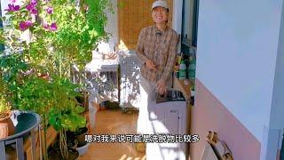 买了个小洗衣机专门洗拖布