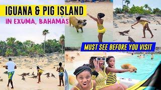 Iguana & Pig Island in Exuma, Bahamas  | Must Watch Before Going | LittleMissTravelers