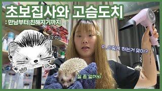 새 가족이 생겼어요️ [고슴도치 초보 집사의 육아 일기 : 핸드피딩, 목욕하기, 밀웜 주기] 0zoo 영주