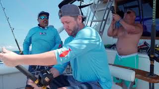 Targeting Marlins in Cabo San Lucas | Fishing Charters for Marlin Fishing