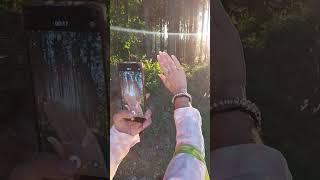 И лишь мечту, спасает красота...Душа - это и есть настоящая красота. Берегите своих близких и родных