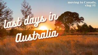 Last Days in Melbourne, Australia ~ Moving to Canada Vlog #1