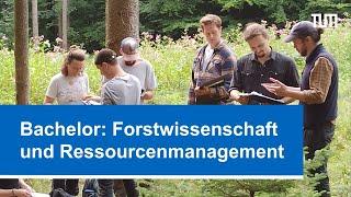 Bachelor "Forest Science and Resource Management"