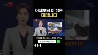 국내 최초 반려동물 전원주택단지