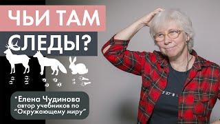 Как распознать следы животных | Елена Чудинова
