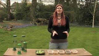 The Wildlife Garden Project - How to set up your bird feeders