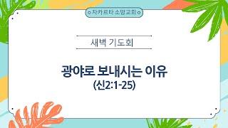 광야로 보내시는 이유(신2:1-25) - 경건의 시간, 매일 성경, 큐티, 자카르타 소망교회