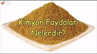 Kimyon Faydaları Nelerdir