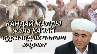 КУРМАНДЫК СОЮУ КИМГЕ МИЛДЕТ? | ЗАМИР кары РАКИЕВ