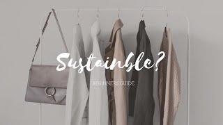 Beginners Guide to a Sustainable Closet // Mindset & Budgeting // ft. Chicprofessor