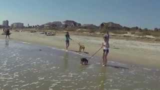 Spring Break 2014, Folly Beach, Charleston SC,  FPV Drone GoPro Hero 3