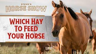 Which Hay to Feed Your Horses