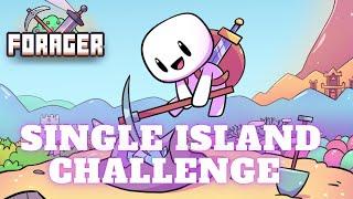 Forager - Single Island Challenge (Beginners Guide)