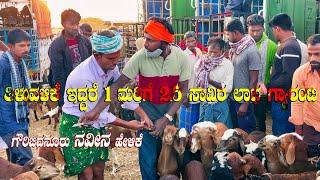 Kenguri Sheep Farmer Naveen from Gauribidanur Buying Sheep Kids at Kukanapalli Sheep Market