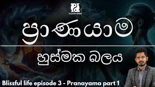 හුස්මක බලය - Blissful Life - episode 3 - pranayama part 1