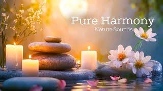 Beautiful Piano Music  Relaxing Music with Nature Sounds ~ Relieve Stress & Calming Piano Melodies