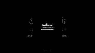 Heart Touching Quran Recitation  #islamicvideo #islamicprayer #islamicrecitation #quran #deen