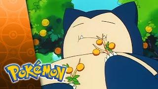 Snack Attack | POKÉMON FULL EPISODE 39 | Season 2