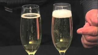 Schott Zwiesel Champagne Flutes by Pottery Barn