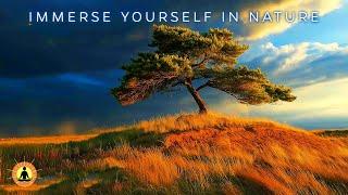 10 Hour: Beautiful & Relaxing Music Playlist by Yellow Brick Cinema | Deep Healing Sleep Meditation