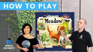 Meadow - How to Play