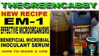 NEW Recipe: HOW TO MAKE EM-1 EFFECTIVE MICROORGANISMS - EM1 LACTOBACILLUS SERUM CULTURE INCOCULANT