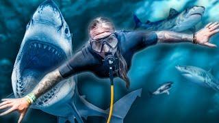 I Volunteered At A Public Aquarium With Sharks!