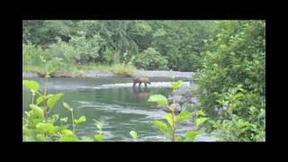 GoToAK Video Blog - KTUU Meteorologist Scott Elnes - Kodiak Adventure: Part One