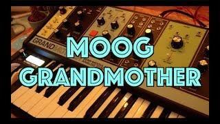 Moog GRANDMOTHER - How it Sounds #TSR19