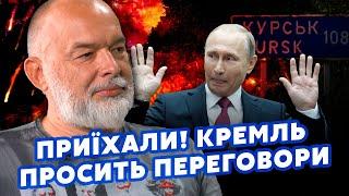 ШЕЙТЕЛЬМАН: Курськ! Путіна ПОРВАЛО. Спалився з ПЕРЕГОВОРАМИ. Терміново ШУКАЄ ПОСЕРЕДНИКІВ@sheitelman