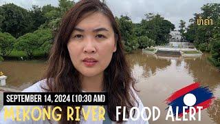 Mekong River Flood Update - Presidential Palace, Chao Anouvong Park, Night Market ... | EP.3