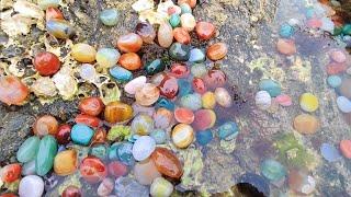 The entire beach is full of agate balls. Picking up gems while catching seafood