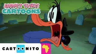 Looney Halloween | Looney Tunes Cartoons | Cartoonito Africa