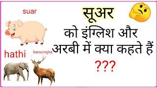 सूअर को अरबी में क्या कहते हैं, सूअर को इंग्लिश में क्या कहते हैं #englishword #arabiward