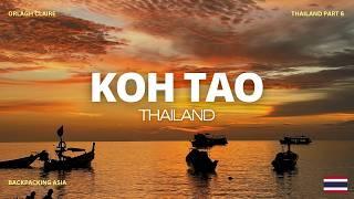 ONE WEEK on KOH TAO THAILAND travel vlog | the best island in thailand | orlagh claire