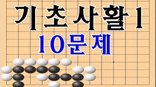 바둑기초 바둑배우기 기초사활1 (10문제)