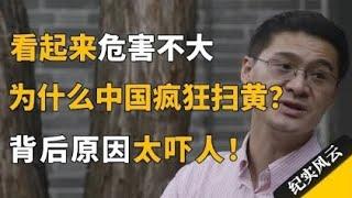 看起来危害不大，为什么中国疯狂“扫黄”？背后原因太吓人！#纪实风云 #纪录片 #陈志武 #彭凯平 #项飙 #李东生 #许倬云 #蔡国强 #罗翔