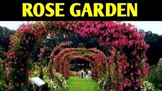 ROSE GARDEN | Beautiful Rose Garden in Chandigarh | ROSE FESTIVAL 2020 CHANDIGARH