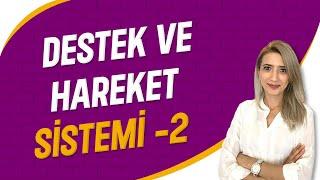 Destek ve Hareket Sistemi - 2  | Seda Hoca Biyoloji ( 8. Ders ) #sedahocabiyoloji #ayt2023