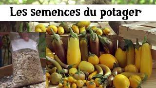 Faire ses semences au potager