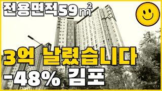 3억 날렸습니다 마이너스 48% 김포