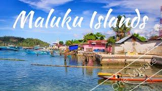 Maluku Islands in a Minute