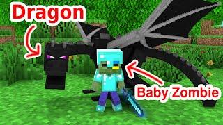 Monster School : Baby Zombie Become a Hero - Sad Story - Minecraft Animation