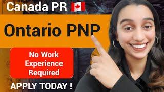 Ontario PNP | Canada PR  | OINP International Student Stream.