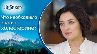  Что такое плохой и хороший холестерин и в чем их разница. Что такое холестерин. 12+