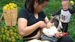 A single mother and her two children harvest vegetables, tubers and fruits to sell at the market..