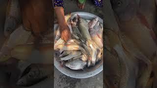 The Tranquility of Village Life & Fishing Adventures